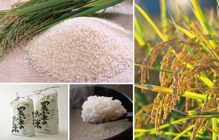 お米づくり